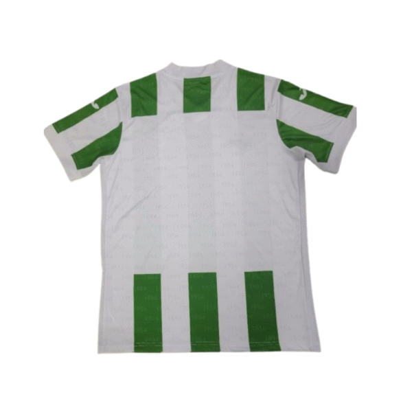 Córdoba camiseta temporada 2024-2025 - Imagen 2