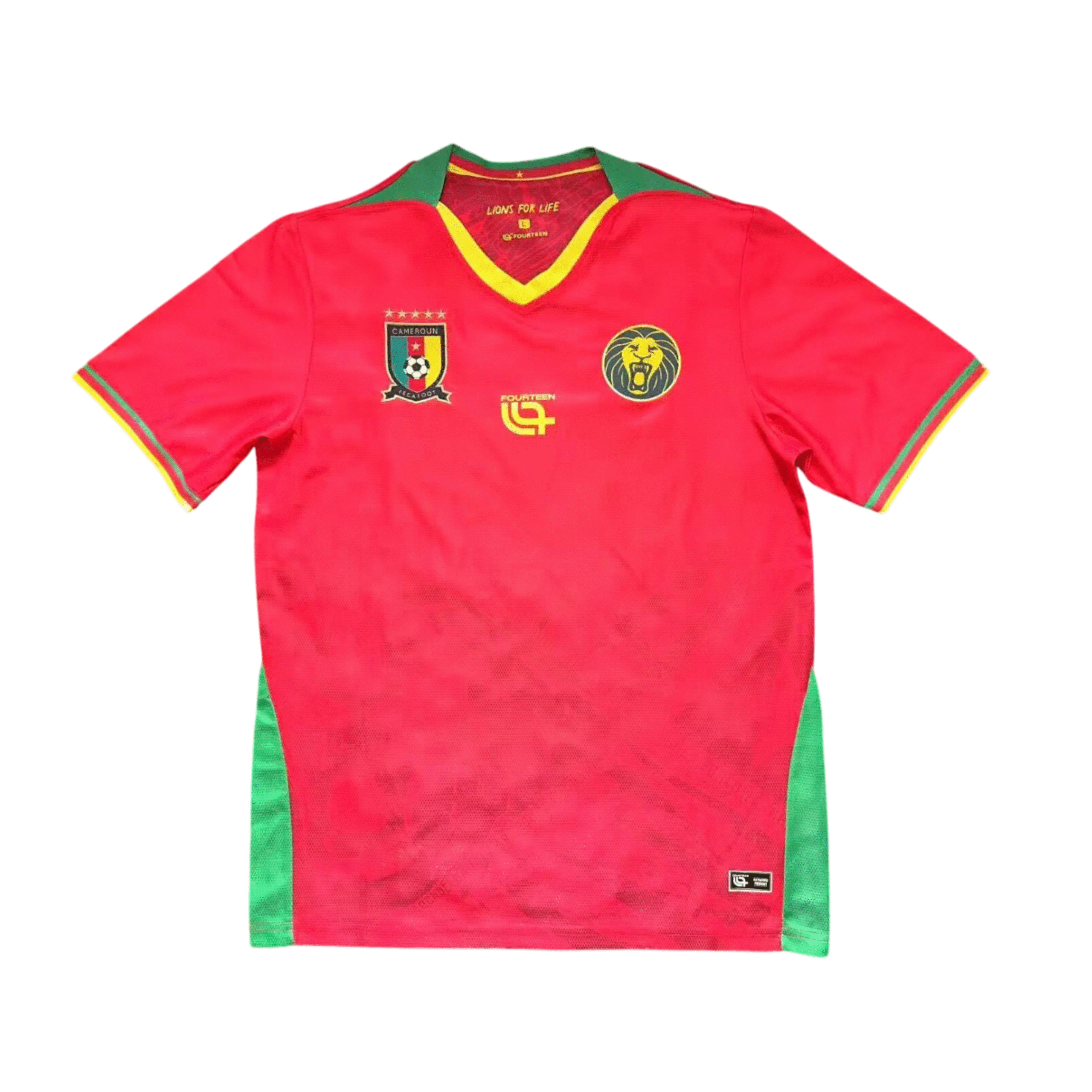 Selección de Camerún camiseta 2025