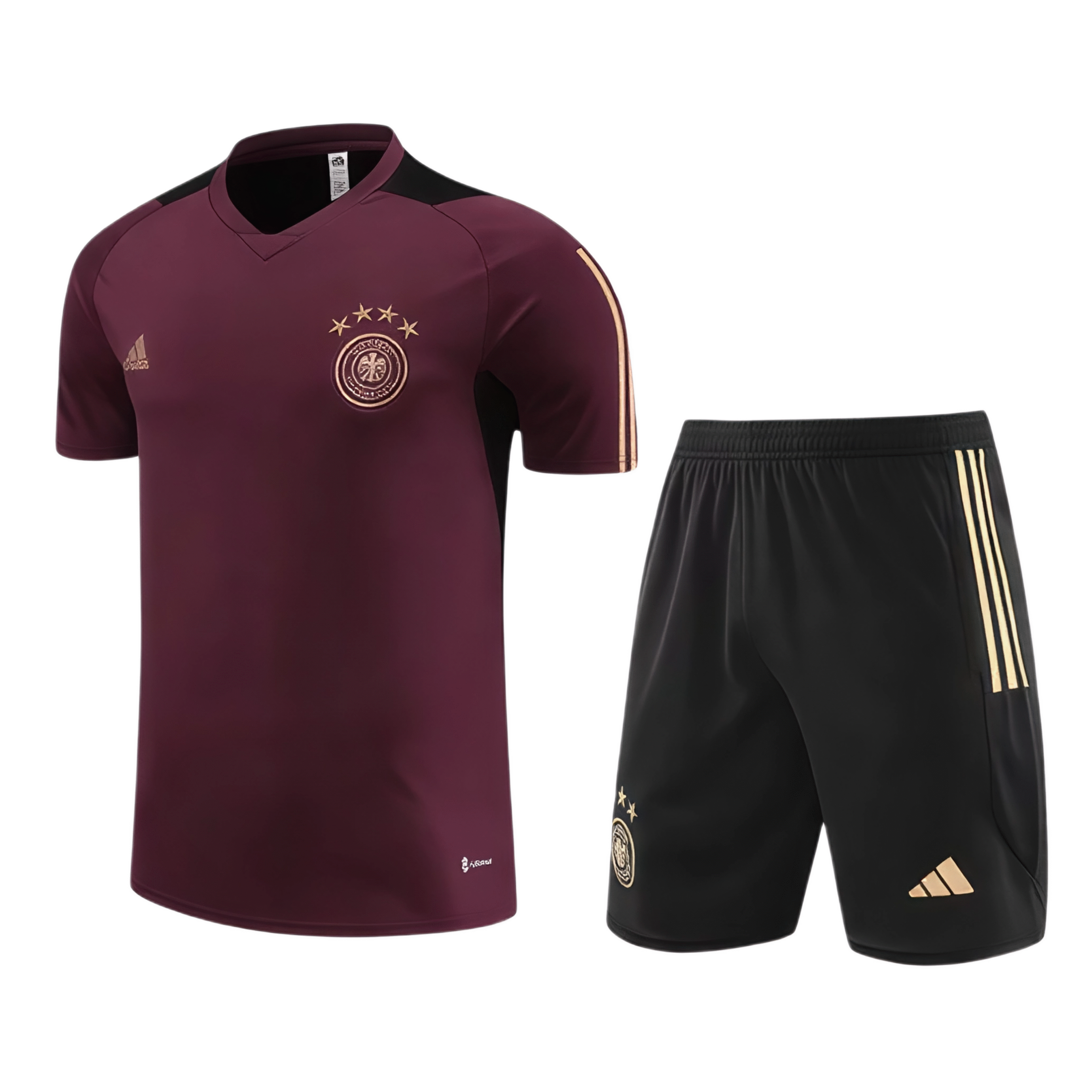 Conjunto de Entrenamiento Selección de Alemania