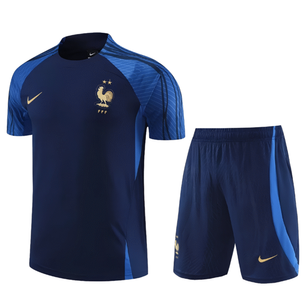 Conjunto de Entrenamiento Selección de Francia