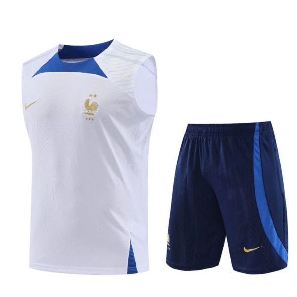 Conjunto de Entrenamiento Selección de Francia